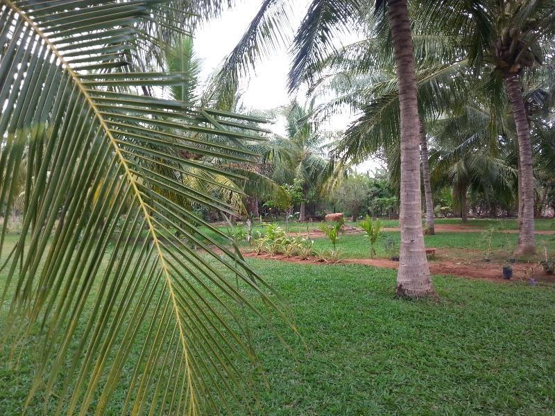 Serenity Lake Resort Yala Tissamaharama Kültér fotó