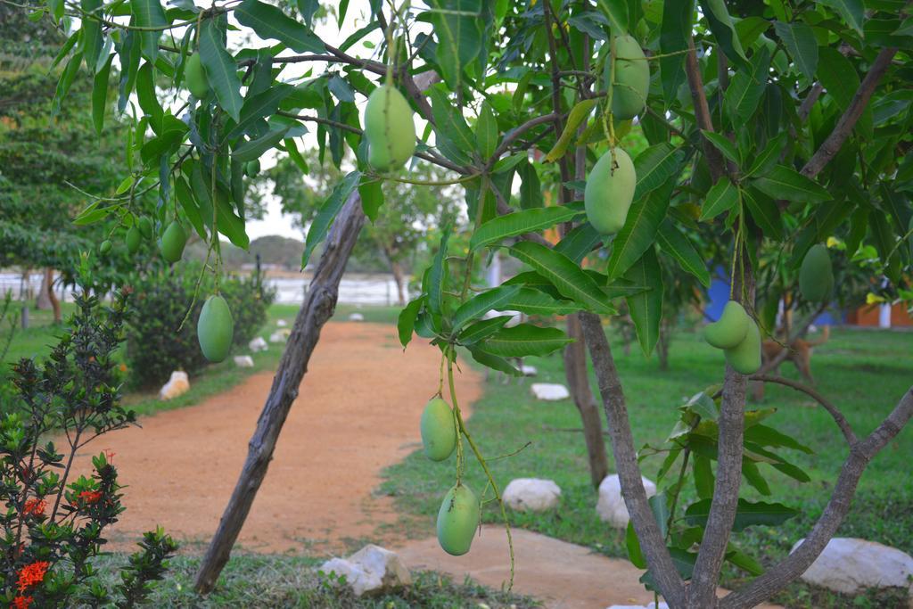 Serenity Lake Resort Yala Tissamaharama Kültér fotó