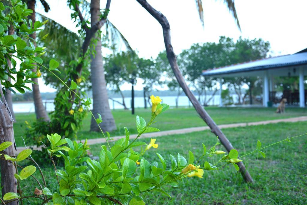 Serenity Lake Resort Yala Tissamaharama Kültér fotó