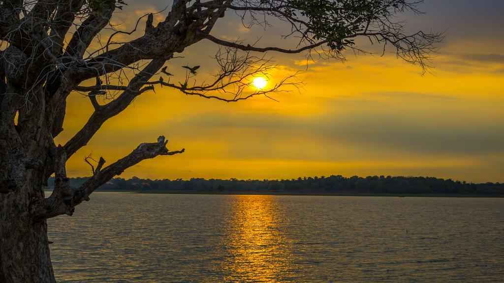 Serenity Lake Resort Yala Tissamaharama Kültér fotó