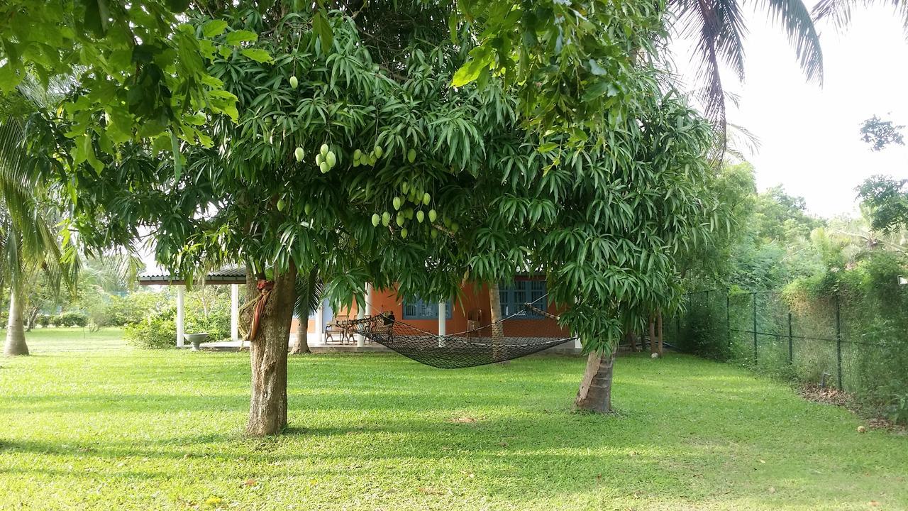 Serenity Lake Resort Yala Tissamaharama Kültér fotó